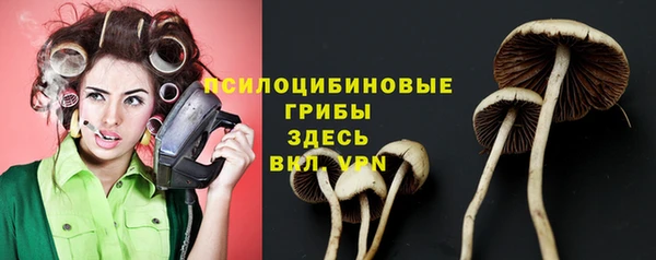 PSILOCYBIN Богданович