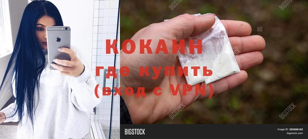 сатива Богородицк
