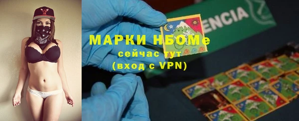 PSILOCYBIN Богданович