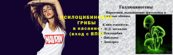 PSILOCYBIN Богданович