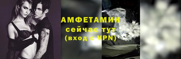 PSILOCYBIN Богданович