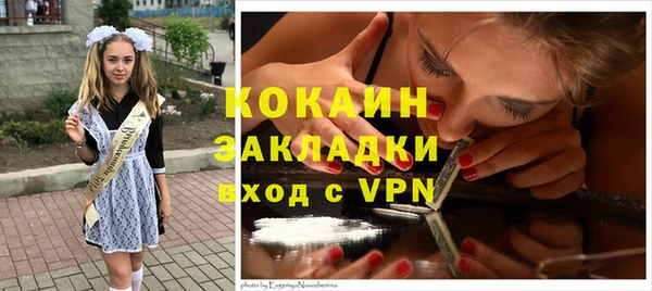 PSILOCYBIN Богданович