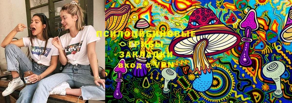PSILOCYBIN Богданович
