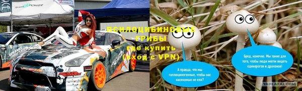 PSILOCYBIN Богданович