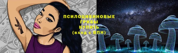 сатива Богородицк